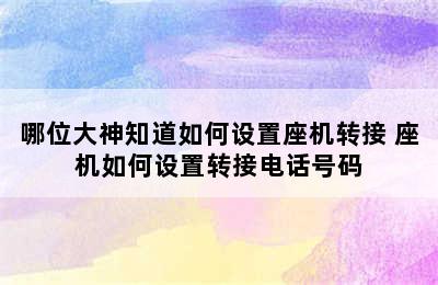 哪位大神知道如何设置座机转接 座机如何设置转接电话号码